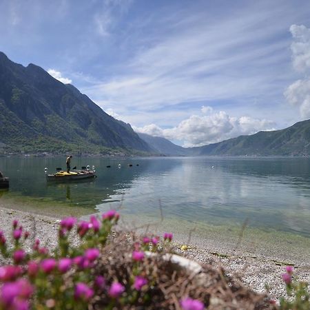 Apartments Goran Kotor Luaran gambar